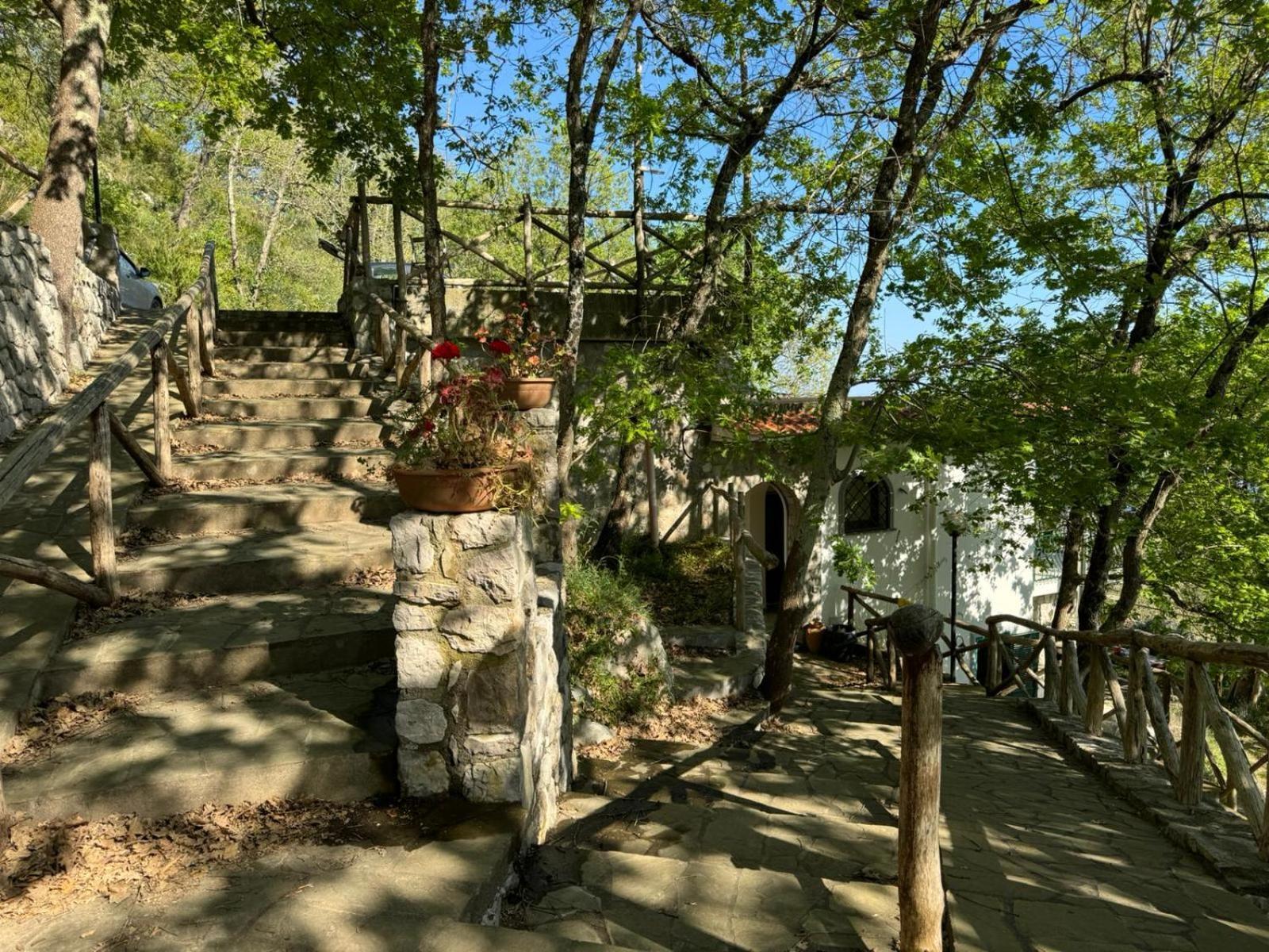 Groove'N'Grove Bed & Breakfast Sant'Agata sui due Golfi Exterior photo
