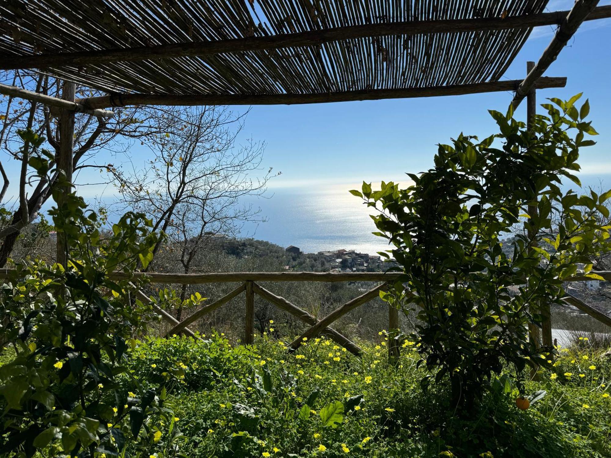 Groove'N'Grove Bed & Breakfast Sant'Agata sui due Golfi Exterior photo